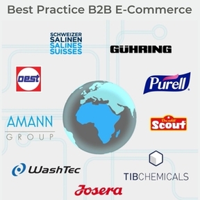 Best Practice B2B E-Commerce