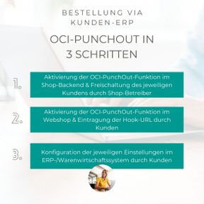 OCI Punchout