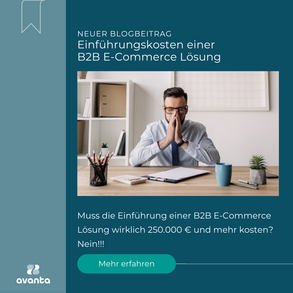 Blogbeitrag: Muss die Einführung einer B2B E-Commerce Lösung wirklich 250.000 € und mehr kosten?