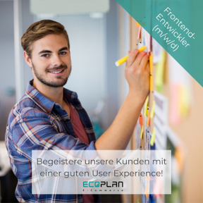 Frontend-Entwickler