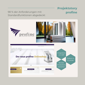 Projektstory profine