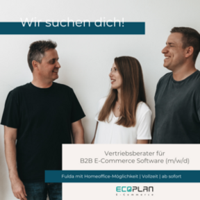 Vertriebsberater